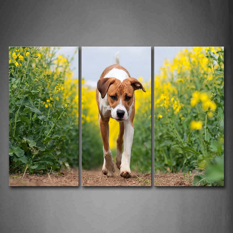 Yellow And White Dog Walk On Path Between Yellow Flower Wall Art Painting The Picture Print On Canvas Animal Pictures For Home Decor Decoration Gift 