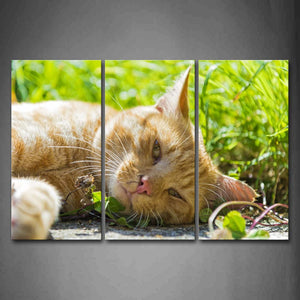 Yellow Cat Lie In Grass  Wall Art Painting The Picture Print On Canvas Animal Pictures For Home Decor Decoration Gift 