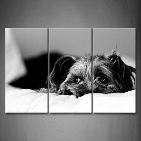 Gray And Black Dog Grovel On White Blanket Wall Art Painting Pictures Print On Canvas Animal The Picture For Home Modern Decoration 