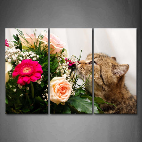 Black And Yellow Cat Smell A Bunch Of Colorful Flower Wall Art Painting Pictures Print On Canvas Animal The Picture For Home Modern Decoration 