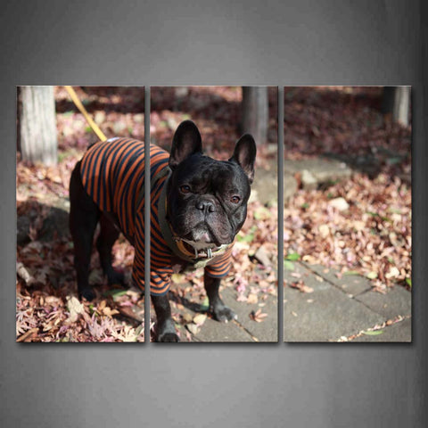 French Bulldog Is Tied Up Fallen Leafs Tree Wall Art Painting The Picture Print On Canvas Animal Pictures For Home Decor Decoration Gift 