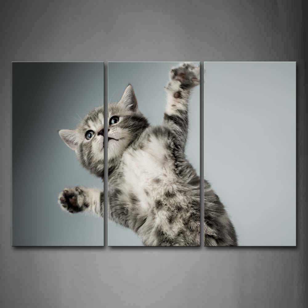 Gray Cat Jump Gray Background Wall Art Painting Pictures Print On Canvas Animal The Picture For Home Modern Decoration 