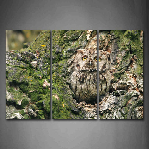 Gray Owl Stand On Tree Hole Moss Wall Art Painting The Picture Print On Canvas Animal Pictures For Home Decor Decoration Gift 