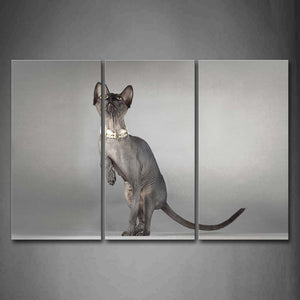 Gray Cat Look Up Stand In Gray Background Wall Art Painting Pictures Print On Canvas Animal The Picture For Home Modern Decoration 