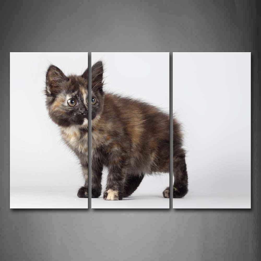 Cute Cat Stand In White Background Wall Art Painting The Picture Print On Canvas Animal Pictures For Home Decor Decoration Gift 