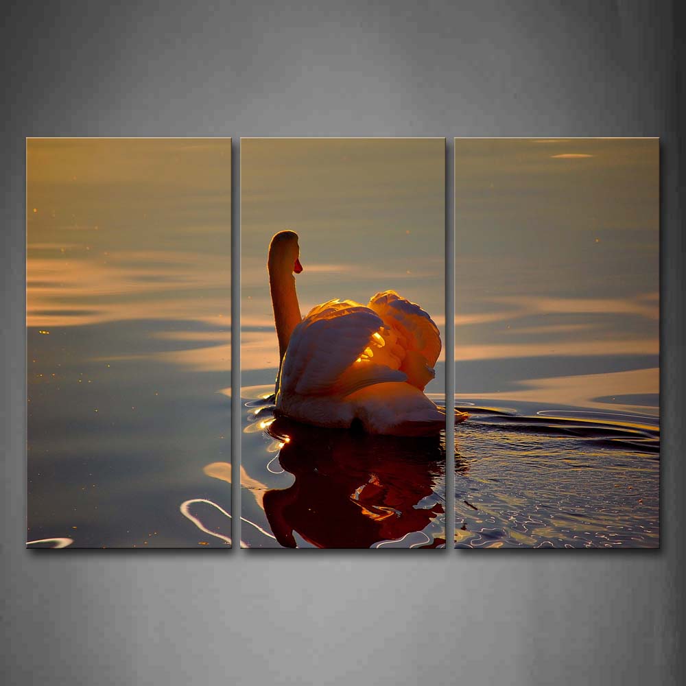 Swan Swimming On Water At Dusk Wall Art Painting Pictures Print On Canvas Animal The Picture For Home Modern Decoration 