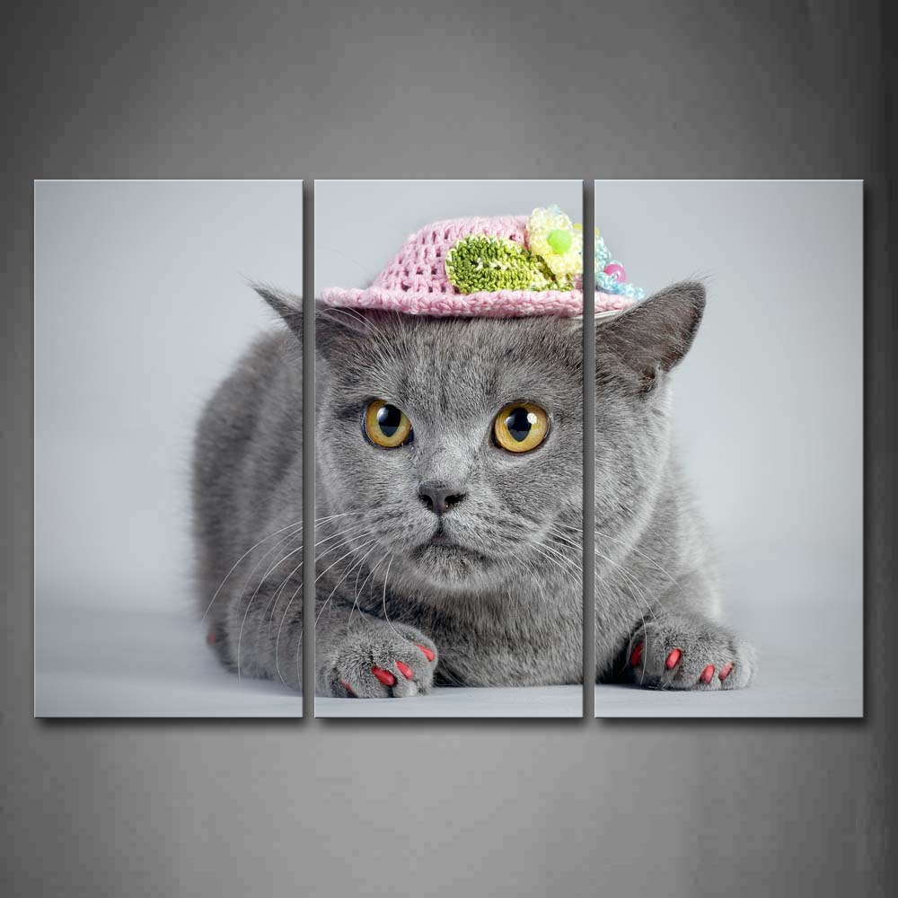 Gray Cat Wear Pink Cap In Gray Background Wall Art Painting The Picture Print On Canvas Animal Pictures For Home Decor Decoration Gift 