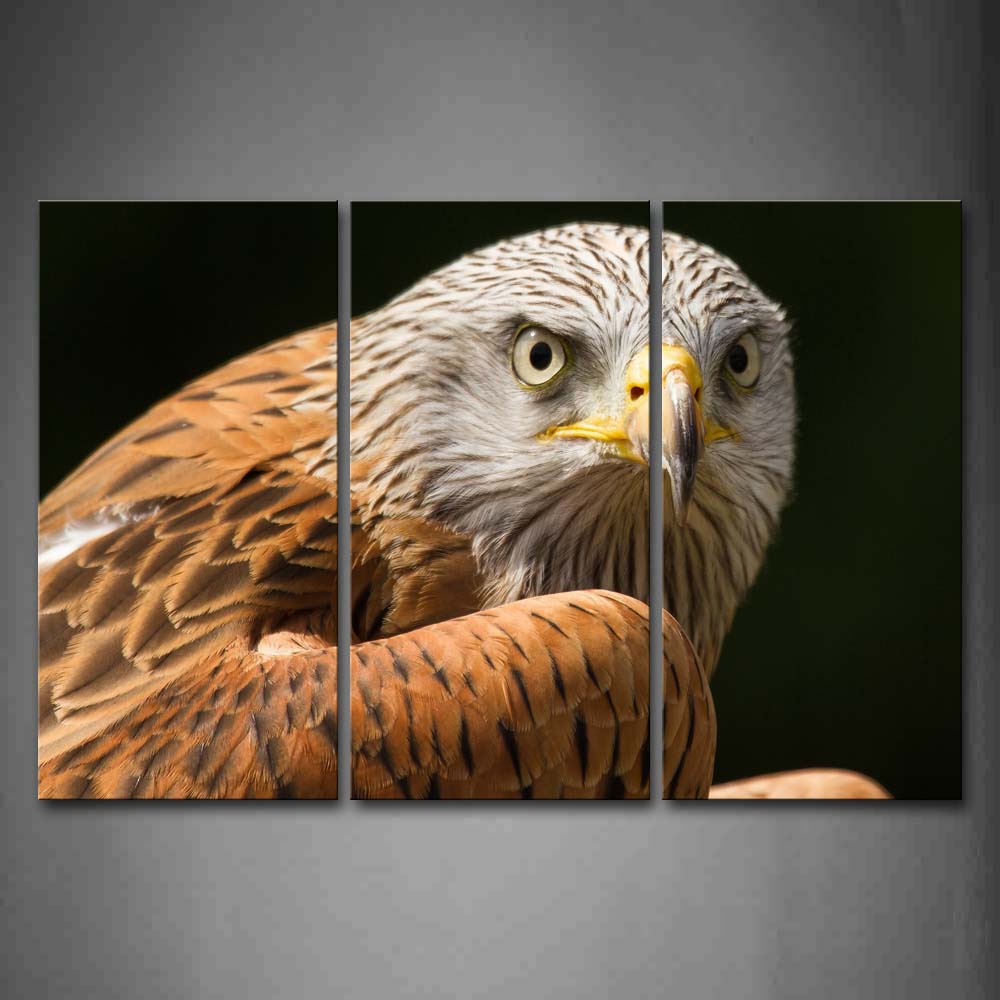 Yellow And White Eagle  Black Background Wall Art Painting Pictures Print On Canvas Animal The Picture For Home Modern Decoration 