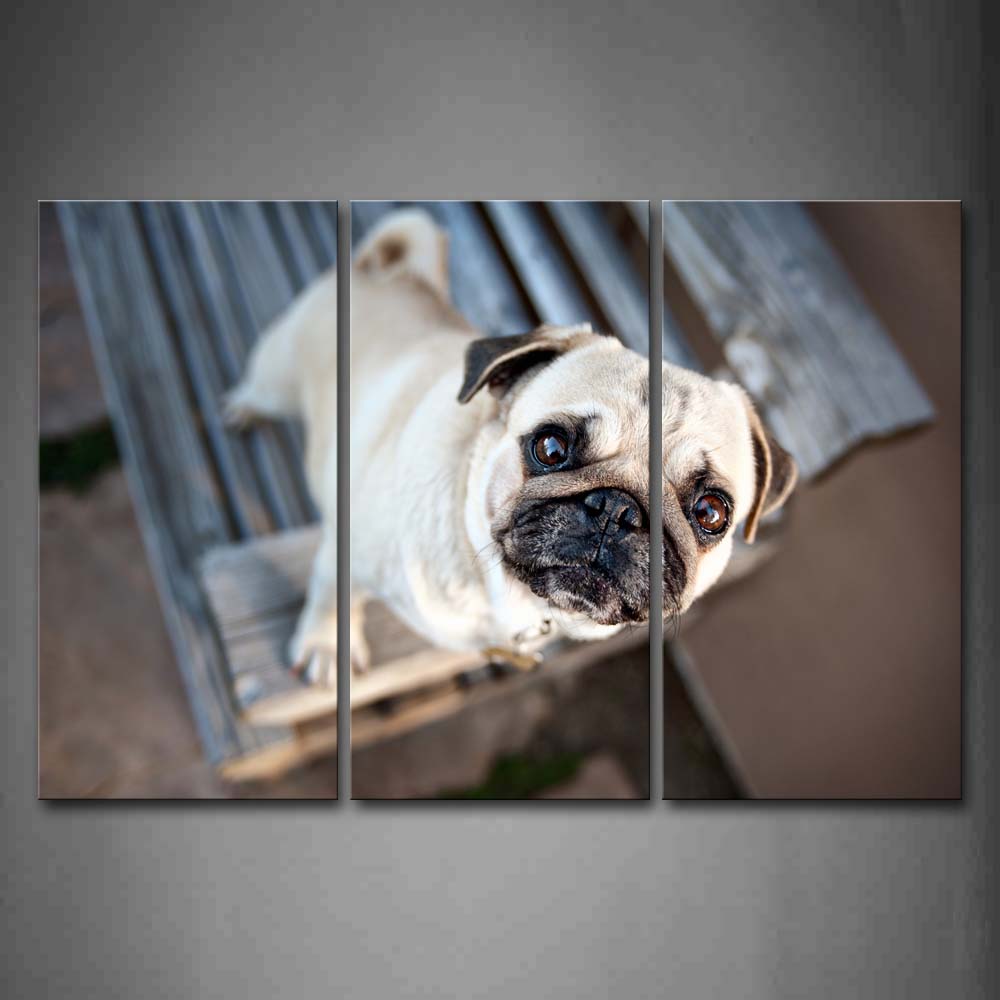 Yellow Pug Stand At Chair And Look Up Wall Art Painting Pictures Print On Canvas Animal The Picture For Home Modern Decoration 