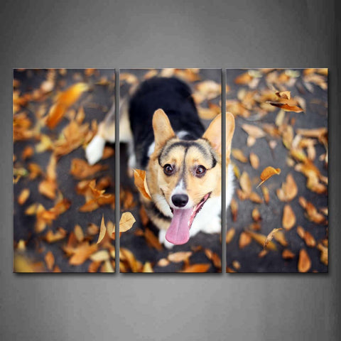 Black And Yellow Dog Look Up At Fallen Leafs Wall Art Painting Pictures Print On Canvas Animal The Picture For Home Modern Decoration 