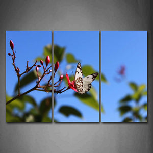 White And Black Butterfly Stop On Red Flower Branch Wall Art Painting The Picture Print On Canvas Animal Pictures For Home Decor Decoration Gift 