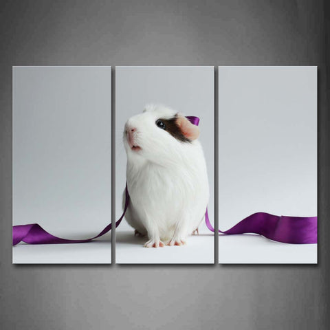 Guinea Pig Covered Purpple Ribbon In White Background Wall Art Painting Pictures Print On Canvas Animal The Picture For Home Modern Decoration 