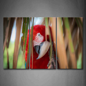 Red Macaw Behind Dry Leafs Wall Art Painting The Picture Print On Canvas Animal Pictures For Home Decor Decoration Gift 