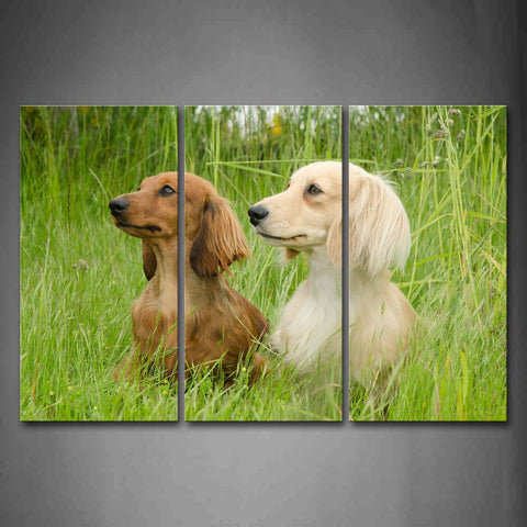 Two Dachshunds Sit In Green Grass Wall Art Painting Pictures Print On Canvas Animal The Picture For Home Modern Decoration 