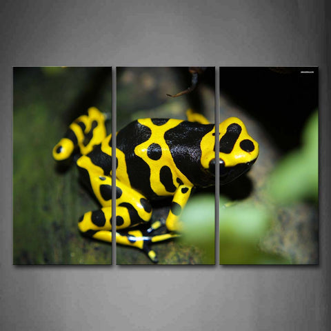 Poison Dart Frog On Wood  Wall Art Painting The Picture Print On Canvas Animal Pictures For Home Decor Decoration Gift 