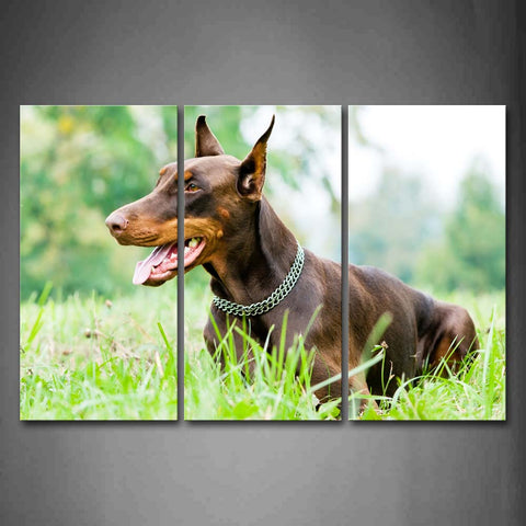 Doberman Pinscher Sit In Grass Open Mouth Wall Art Painting Pictures Print On Canvas Animal The Picture For Home Modern Decoration 