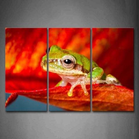 Green Frog On Red Leaf Wall Art Painting The Picture Print On Canvas Animal Pictures For Home Decor Decoration Gift 