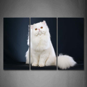 White Cat Sit In Dark Background Wall Art Painting Pictures Print On Canvas Animal The Picture For Home Modern Decoration 