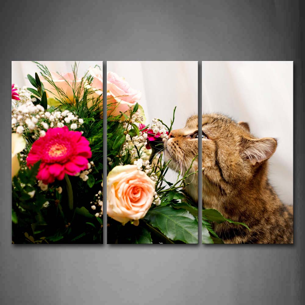 Yellow Cat Smell A Bunch Of Flowers Wall Art Painting The Picture Print On Canvas Animal Pictures For Home Decor Decoration Gift 