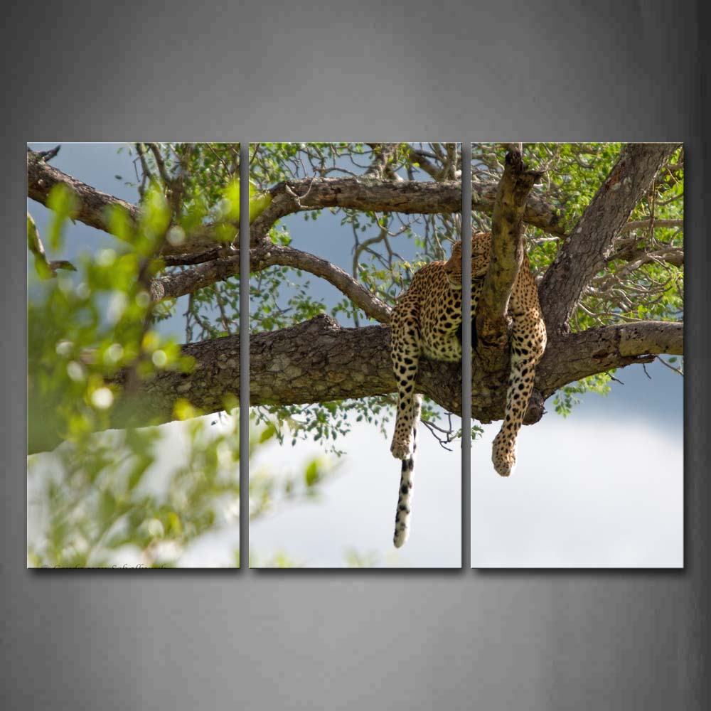 Leopard Sleep On Big Tree Branch Wall Art Painting The Picture Print On Canvas Animal Pictures For Home Decor Decoration Gift 