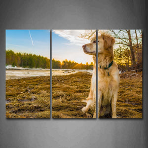 Yellow Dog Sit On Dry Grassland River Trees Wall Art Painting Pictures Print On Canvas Animal The Picture For Home Modern Decoration 