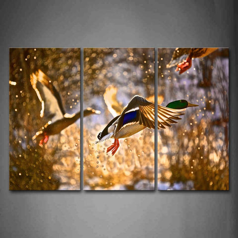 Colorful Birds Fly Drop Of Water Wall Art Painting The Picture Print On Canvas Animal Pictures For Home Decor Decoration Gift 