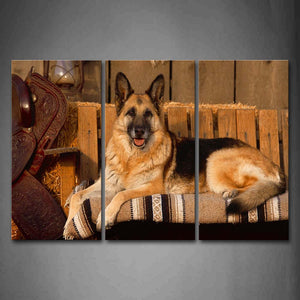 German Shepherd Lie On Chair In Stable Wall Art Painting The Picture Print On Canvas Animal Pictures For Home Decor Decoration Gift 