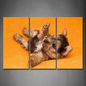 Yellow Orange Small Dog Lie On Orange Blanket Wall Art Painting The Picture Print On Canvas Animal Pictures For Home Decor Decoration Gift 