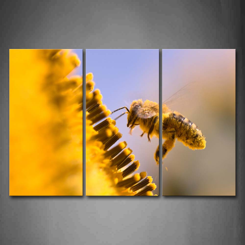 Yellow Bee Fly Above Yellow Flower  Wall Art Painting Pictures Print On Canvas Animal The Picture For Home Modern Decoration 