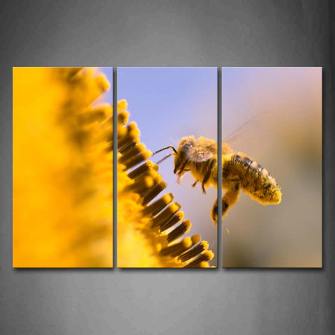 Yellow Bee Fly Above Yellow Flower  Wall Art Painting Pictures Print On Canvas Animal The Picture For Home Modern Decoration 