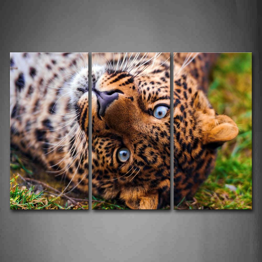 Leopard Reverse Body Head Portrait Wall Art Painting The Picture Print On Canvas Animal Pictures For Home Decor Decoration Gift 