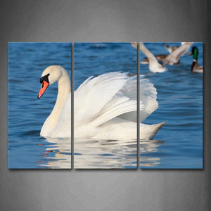 White Swan Simming On Water Beautiful Feather Wall Art Painting The Picture Print On Canvas Animal Pictures For Home Decor Decoration Gift 