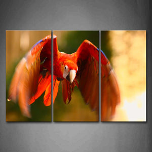 Orange Macaw Is Flying Portrait Wall Art Painting The Picture Print On Canvas Animal Pictures For Home Decor Decoration Gift 