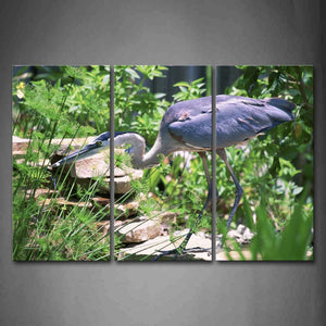 Gray Bird Stand Stone Staring Plant Tree Wall Art Painting Pictures Print On Canvas Animal The Picture For Home Modern Decoration 