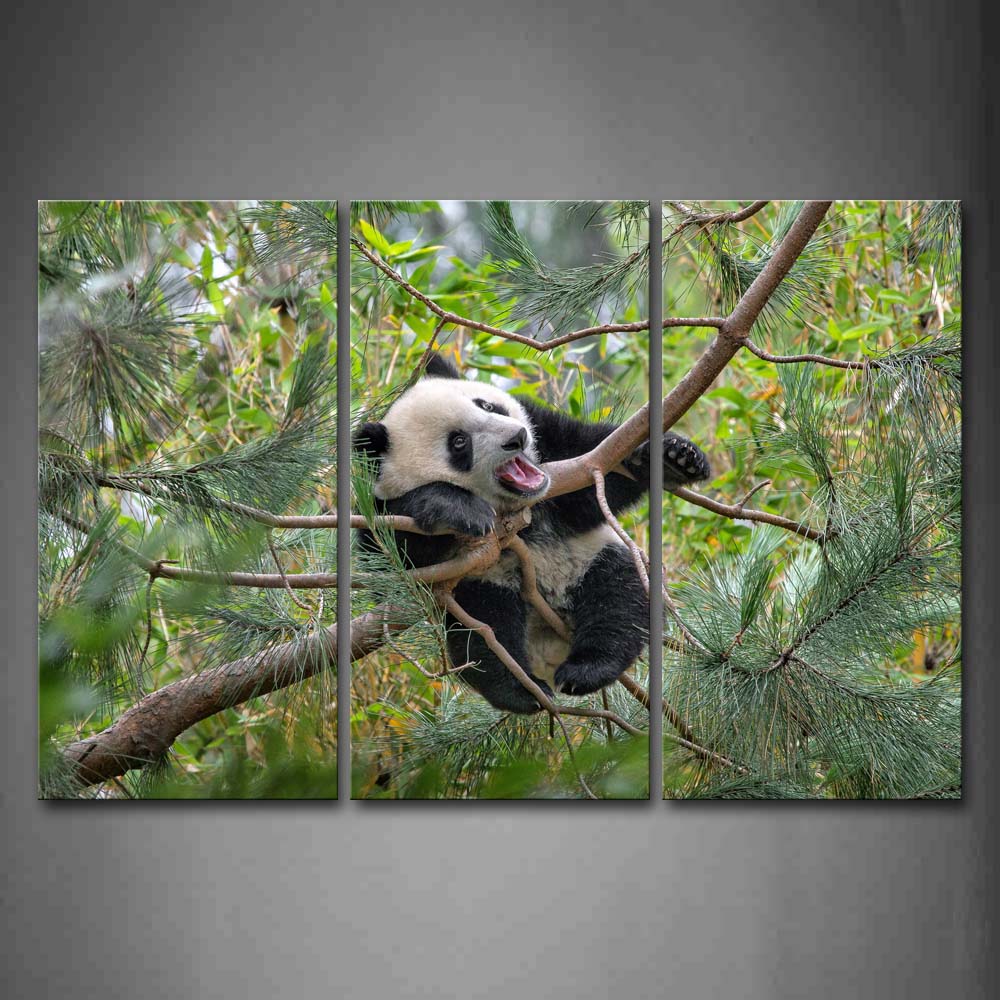 Panda Climb In Pine Tree Branch Wall Art Painting Pictures Print On Canvas Animal The Picture For Home Modern Decoration 