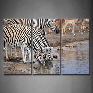 Several Zebras Drinking Water In Benchland Wall Art Painting Pictures Print On Canvas Animal The Picture For Home Modern Decoration 