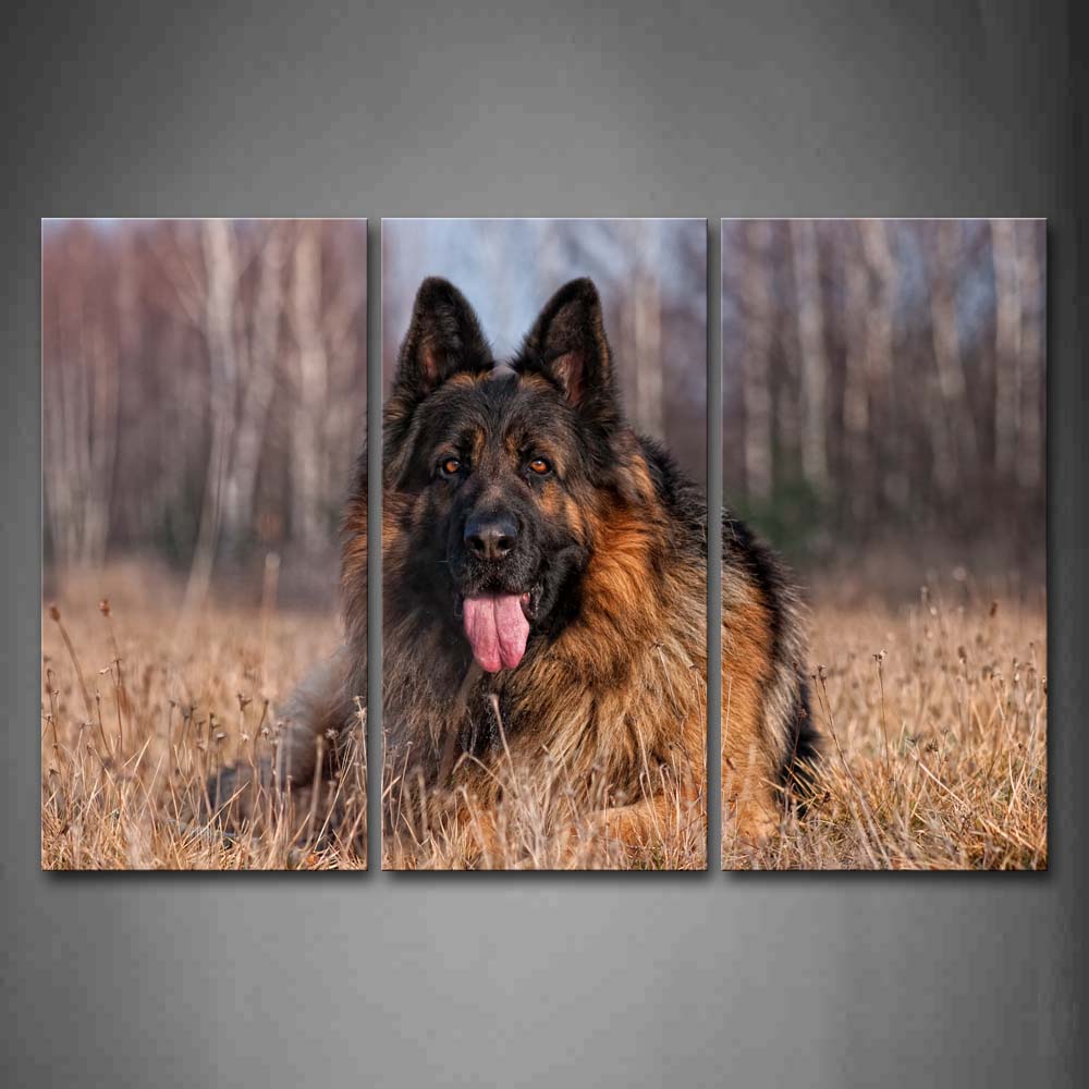 German Shepherd Lie On Dry Grassland Near Forest Wall Art Painting The Picture Print On Canvas Animal Pictures For Home Decor Decoration Gift 