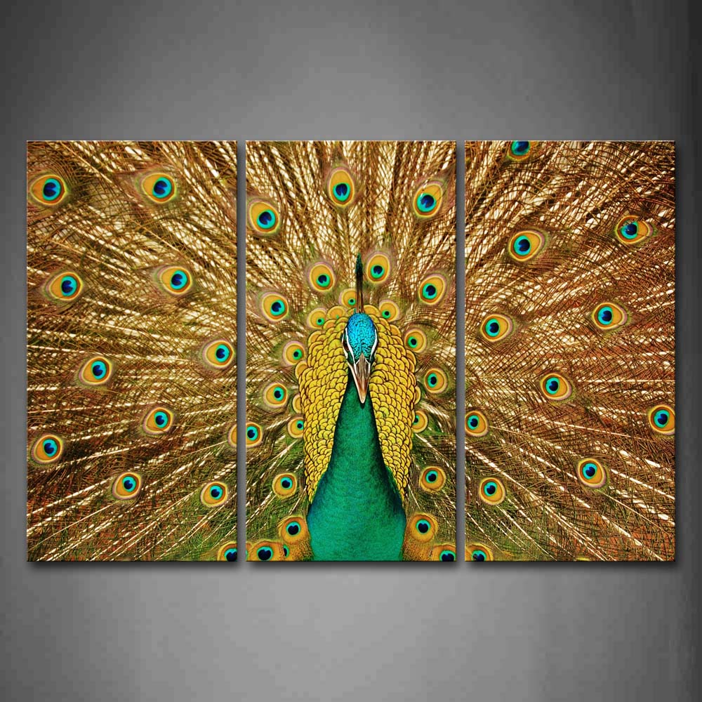 Beautiful Peacock Open Wings Wall Art Painting Pictures Print On Canvas Animal The Picture For Home Modern Decoration 