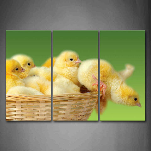 Bird Cubs In Basket  Wall Art Painting The Picture Print On Canvas Animal Pictures For Home Decor Decoration Gift 