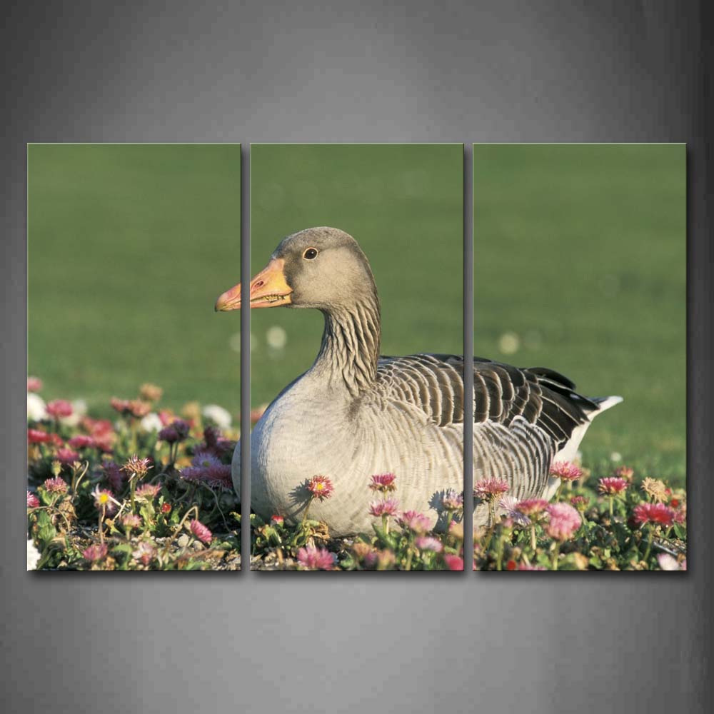 Duck Sit On Pink Anthemy Near Lake Wall Art Painting The Picture Print On Canvas Animal Pictures For Home Decor Decoration Gift 