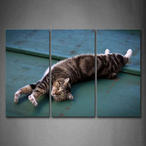 Cat Is Lying Stretch  Wall Art Painting Pictures Print On Canvas Animal The Picture For Home Modern Decoration 