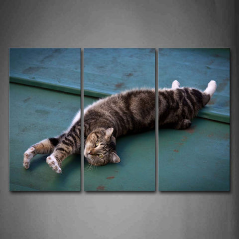 Cat Is Lying Stretch  Wall Art Painting Pictures Print On Canvas Animal The Picture For Home Modern Decoration 