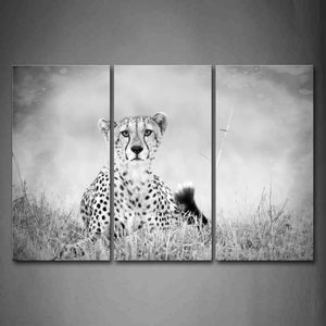 Cheetah Sit On Grassland Wall Art Painting The Picture Print On Canvas Animal Pictures For Home Decor Decoration Gift 