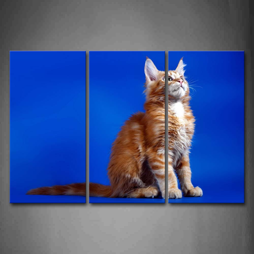 Yellow Cat Sit In Blue Background Wall Art Painting The Picture Print On Canvas Animal Pictures For Home Decor Decoration Gift 