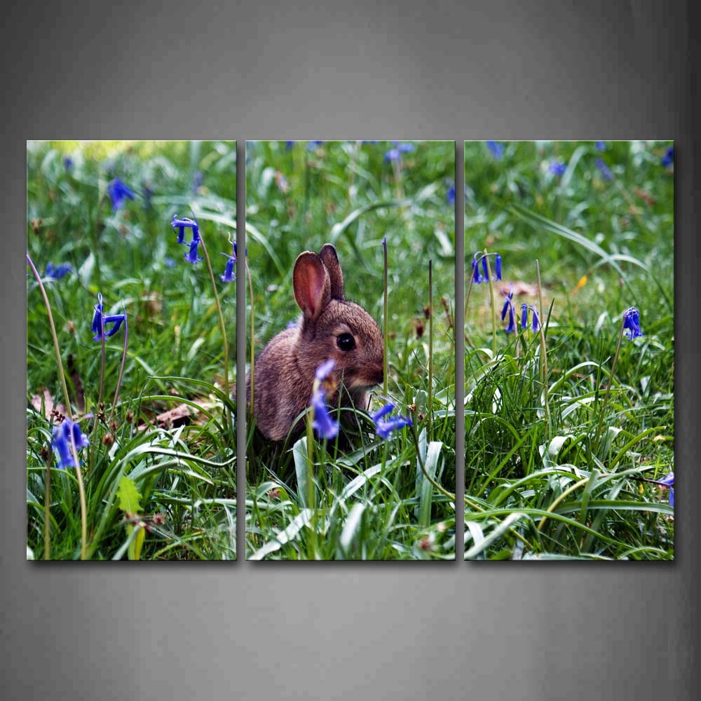 Gray Rabbit In Green Grass Blue Flower Wall Art Painting Pictures Print On Canvas Animal The Picture For Home Modern Decoration 