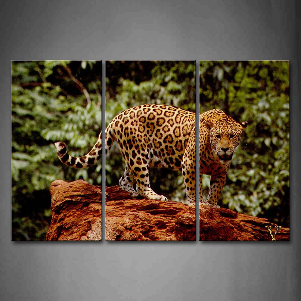 Jaguar Stand On Yellow Rock Near Thick Tree Wall Art Painting The Picture Print On Canvas Animal Pictures For Home Decor Decoration Gift 