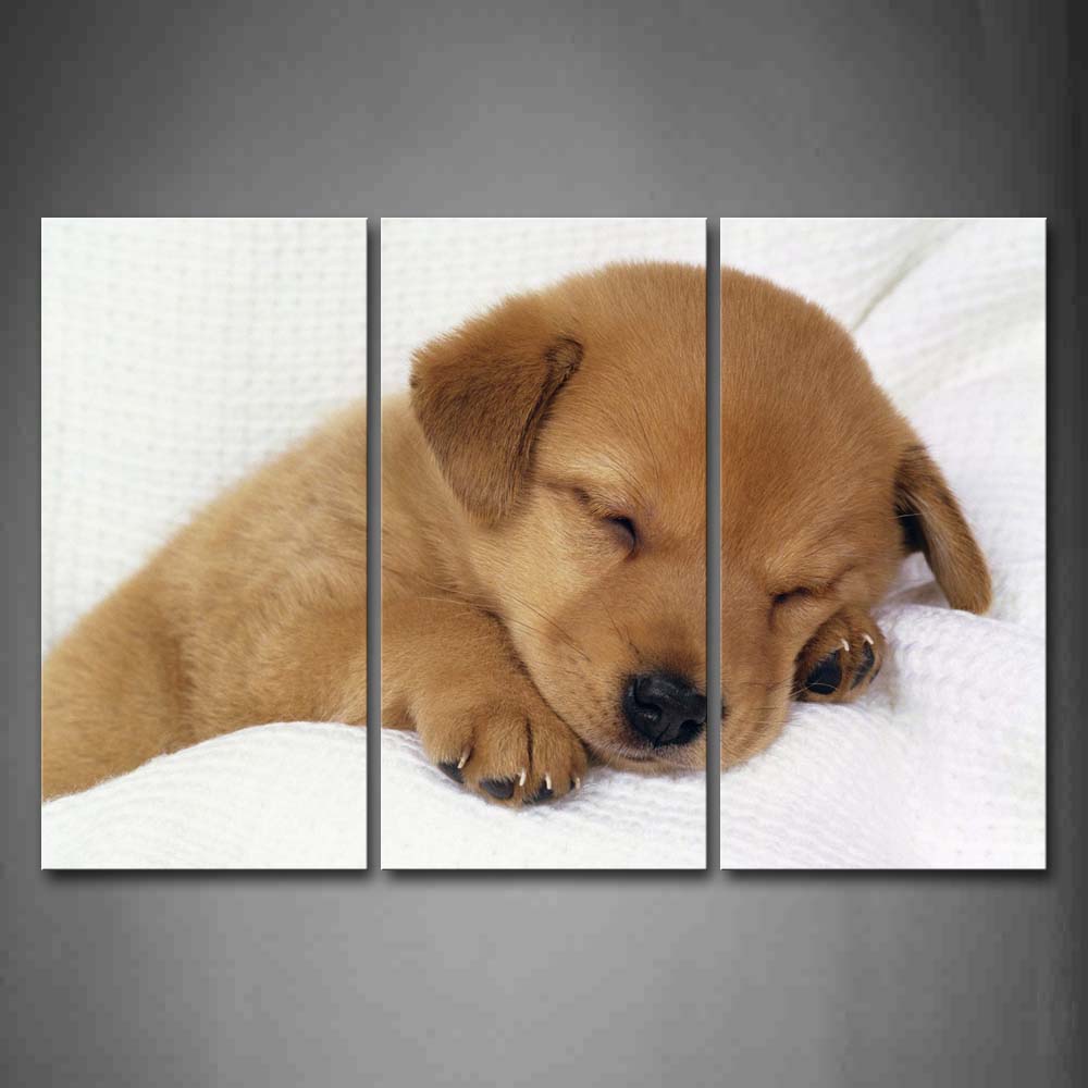 Yellow Dog Lie On White Blanket To Sleep Wall Art Painting The Picture Print On Canvas Animal Pictures For Home Decor Decoration Gift 