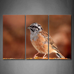 Yellow And Gray Bird Stand Portrait Wall Art Painting Pictures Print On Canvas Animal The Picture For Home Modern Decoration 