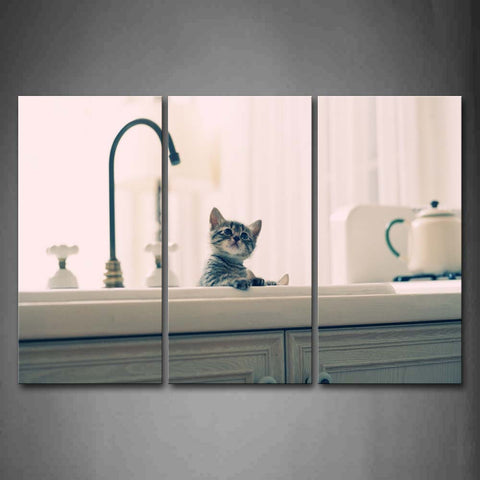 Cat In Kitchen  Wall Art Painting Pictures Print On Canvas Animal The Picture For Home Modern Decoration 