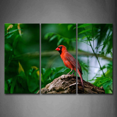 Orange Cardinal Stand On Dry Wood Palant Wall Art Painting The Picture Print On Canvas Animal Pictures For Home Decor Decoration Gift 